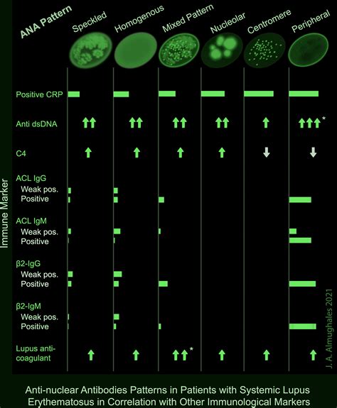 lupus antibody test pattern